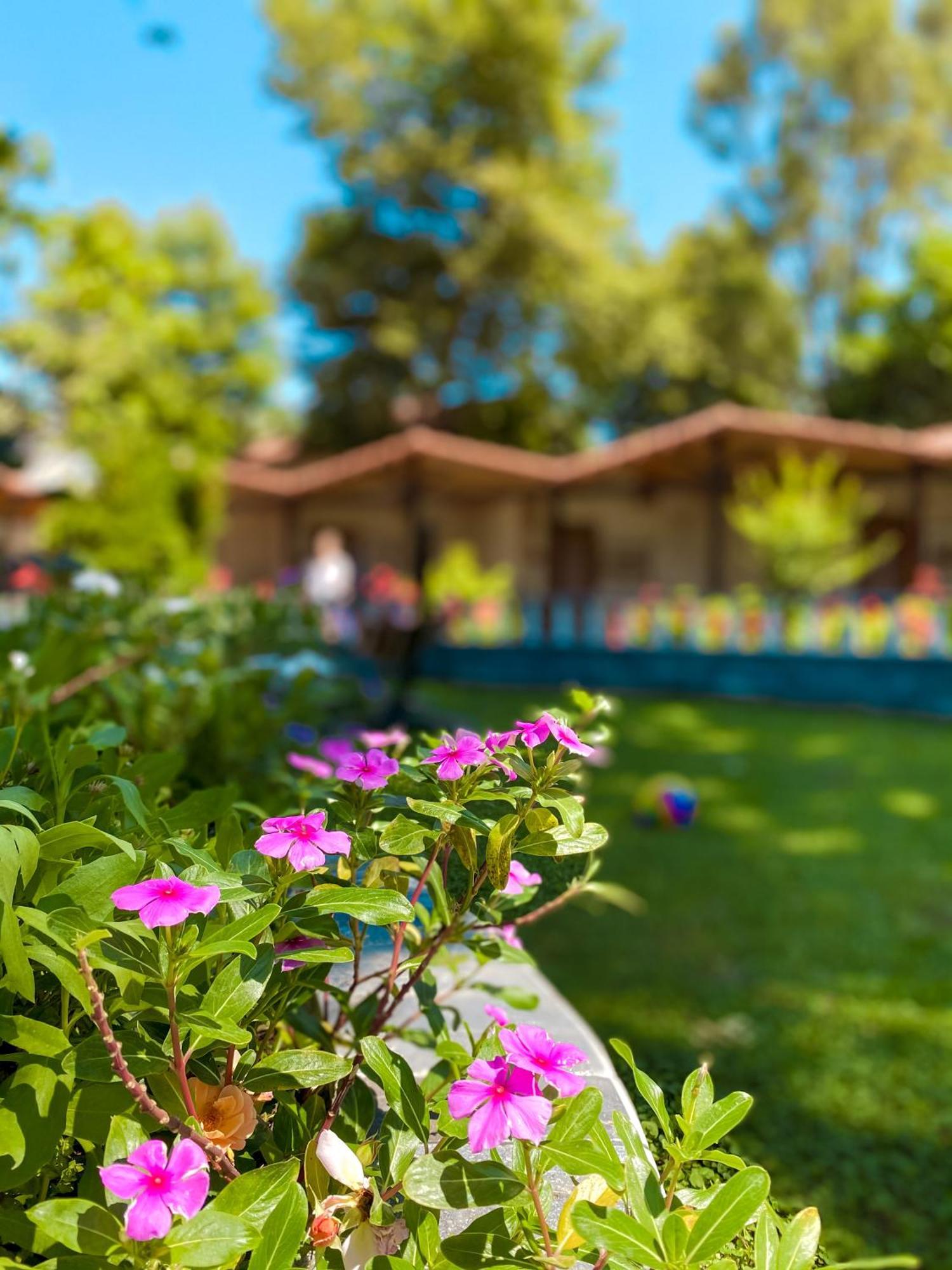 Likya Adrasan Hotel Exterior foto